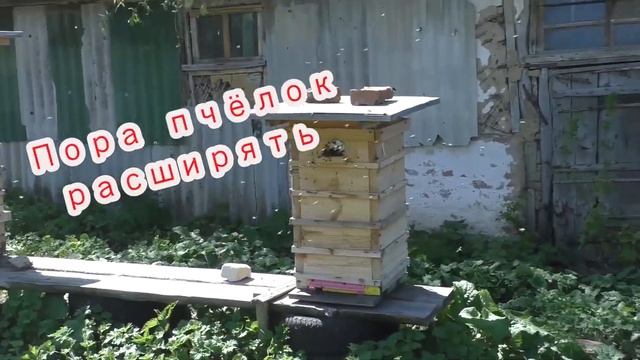 Пчеловодство 2021- 2022 смотреть онлайн