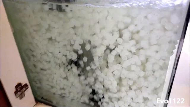 Berapa Besar Aerator & Berapa Banyak K1 Yang Diperlukan Untuk Sump Filter Arwana??? смотреть онлайн