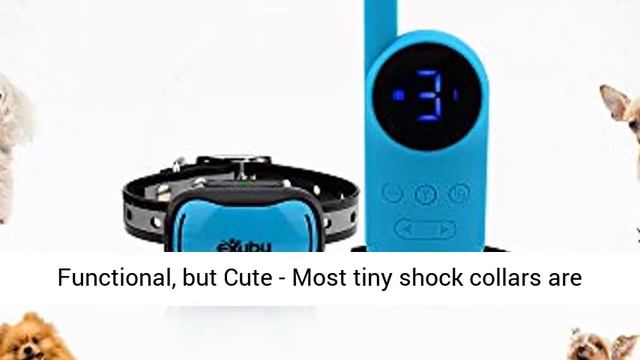Tiny Shock Collar for Small Dogs 5 смотреть онлайн