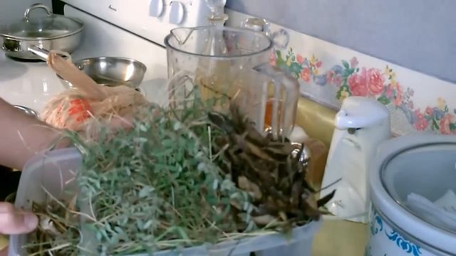 Homemade "Briquettes" - DIY Biofuel for Rocket or Wood Stove! (use leaves/grass/weeds or paper!) смотреть онлайн