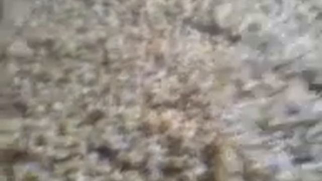 Печенье из гречи (попытка #2) смотреть онлайн