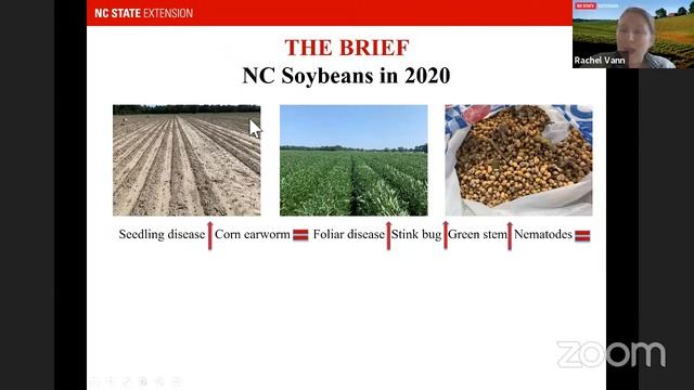 Piedmont Winter Grains Meeting смотреть онлайн