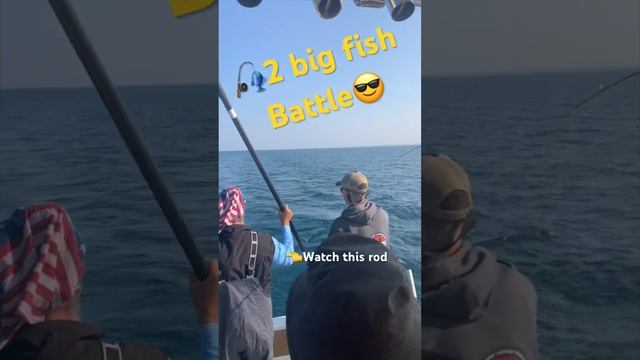 King salmon #salmon #salmonfishing #kingsalmon смотреть онлайн