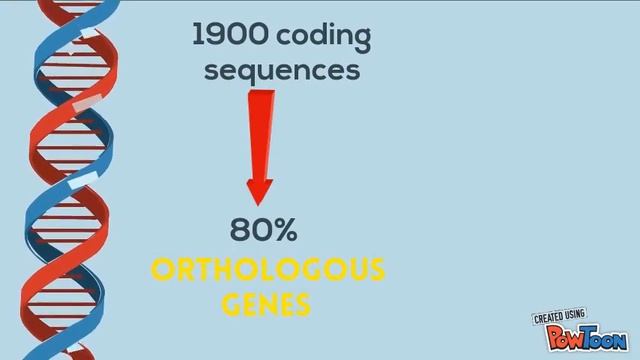 Streptococcus thermophilus смотреть онлайн