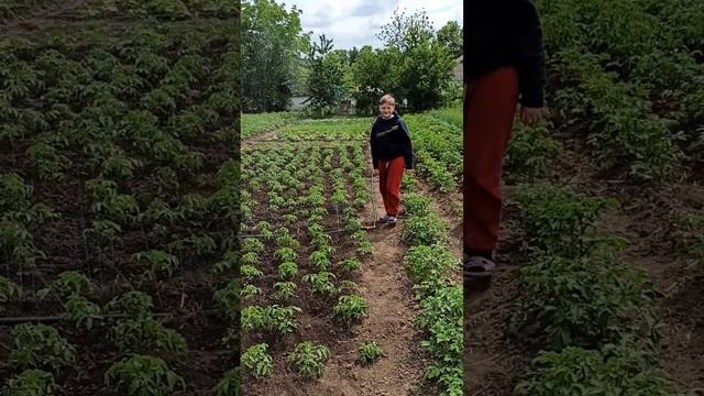 Спрей лента туман діаметр 25 и 32 смотреть онлайн