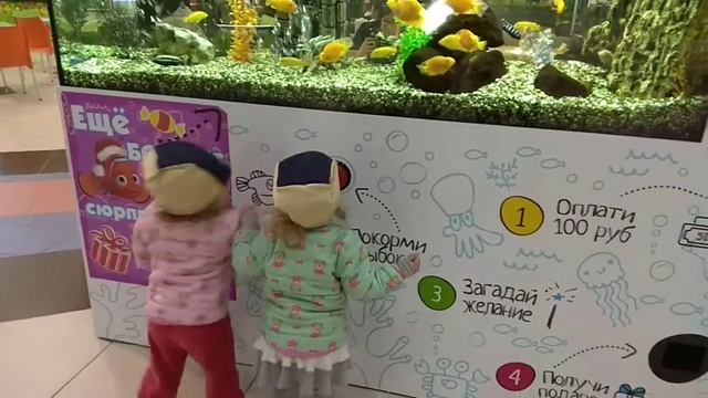 ТЦ "Сибирский Мол", рыбки, двойняшки) смотреть онлайн