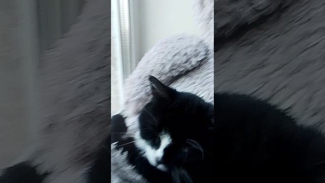 1000007434.mp4 смотреть онлайн