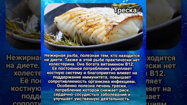 САМАЯ ПОЛЕЗНАЯ МОРСКАЯ РЫБА! КАМБАЛА смотреть онлайн