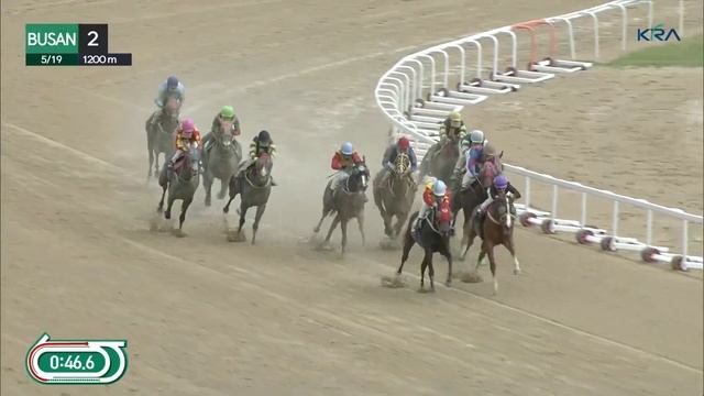 (Busan) 2023.05.19 R2 Class 6 (1200M) Special Weight A смотреть онлайн