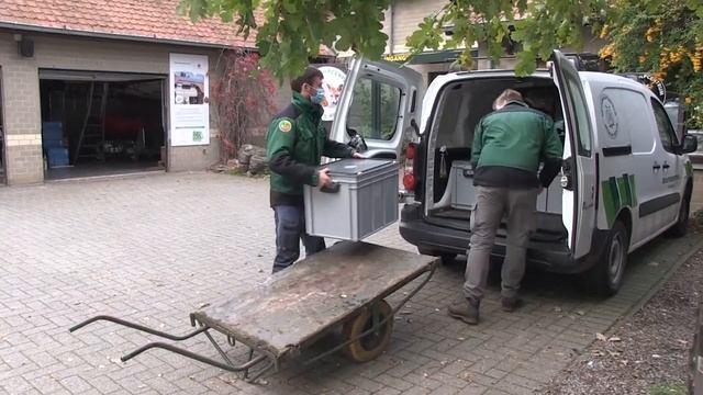 Famous eagle owls released into the wild | Vroege Vogels смотреть онлайн