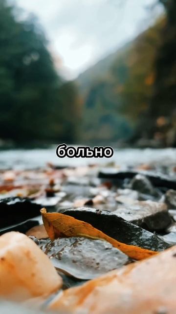 Золотые слова. #красивыецитаты #цитаты #любовь #лучшиецитаты #люди #новости #мудрые #афоризмы #а4 смотреть онлайн