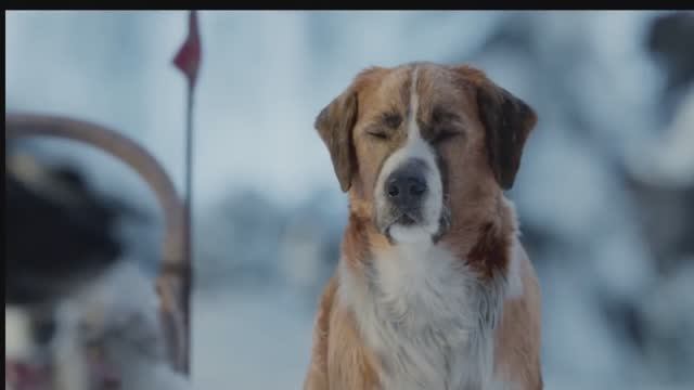 "Зов предков" смотреть онлайн