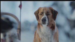 "Зов предков"