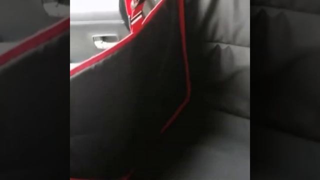 Автогамак 3в1 на заднее сидение автомобиля смотреть онлайн