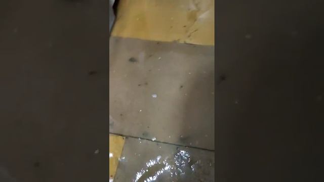 4 дня стоит вода в доме, Проезд Залманова дом 19. #Петропавловск смотреть онлайн