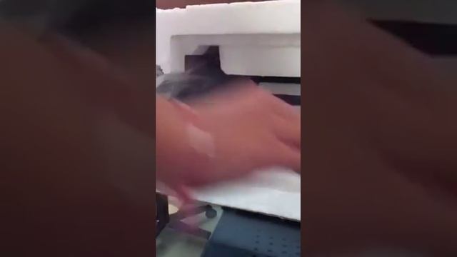 Blendtec Total Blender Unboxing смотреть онлайн