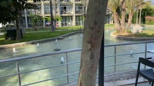 Отдых удался!!! Небольшой обзор из отеля Dobedan World Palace 5 .