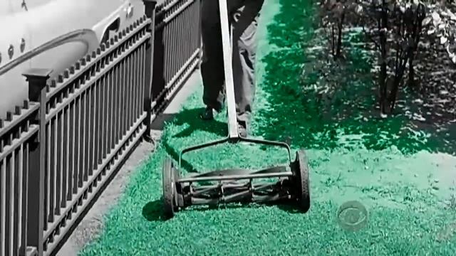 America's quest for the perfect lawn смотреть онлайн