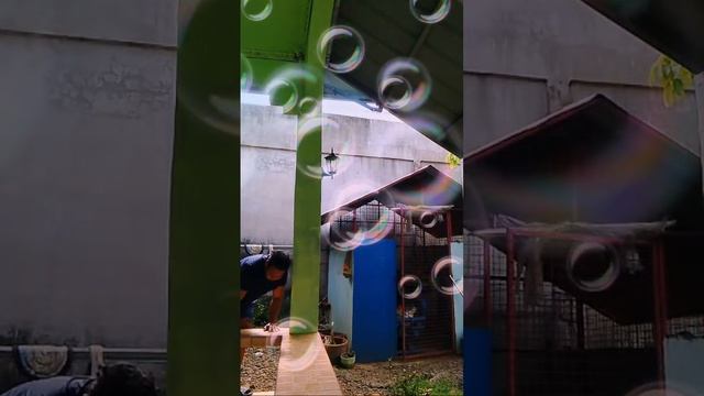 Highlight 22:28 - 27:29 from please help me my $100 dollar para makasa na tayo 🙏🙏 смотреть онлайн