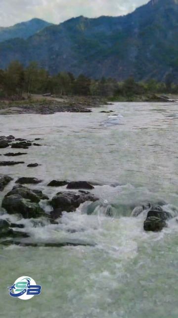 Путешествие вместе с САБАЙ  Алтайын.