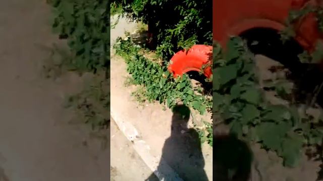 Челендж 24 часа я показываю свой обычный день 6 часть смотреть онлайн