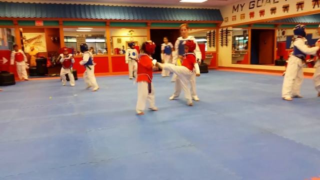 Sydney Taekwondo Sparring 25 смотреть онлайн