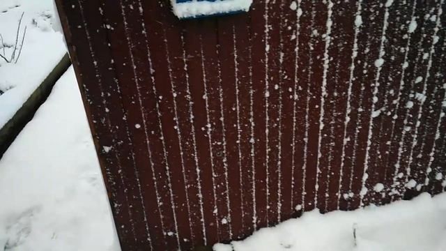 Белоснежная "диковина" Кубани. смотреть онлайн