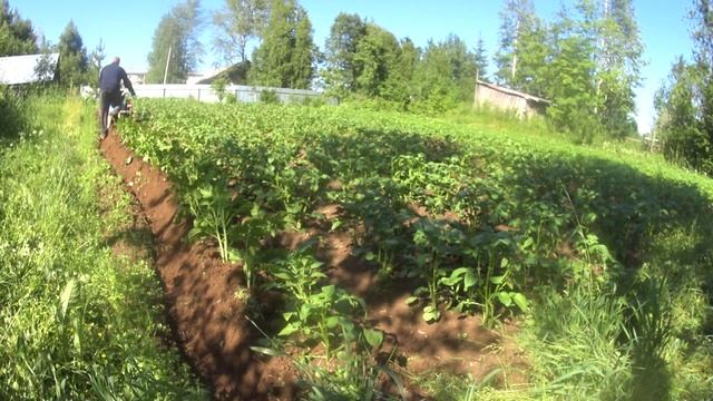 Видеоотчёт для Сергея Юрьевича.01.07.21 г. смотреть онлайн