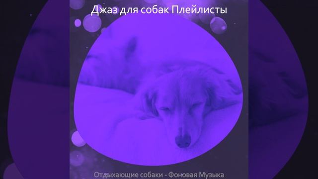 Настроения (Выгул собак) смотреть онлайн