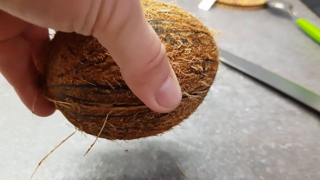 Решаем с кокосом смотреть онлайн