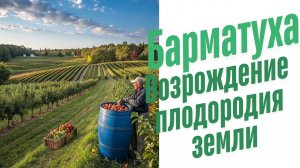 Повышение плодородия почвы. История сотворения Барматухи.