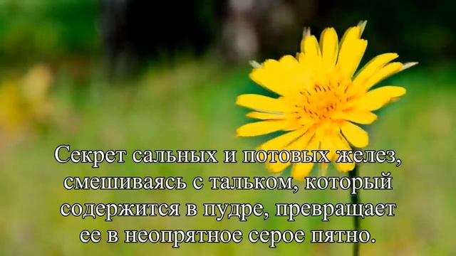 Безобидный макияж — Статья смотреть онлайн