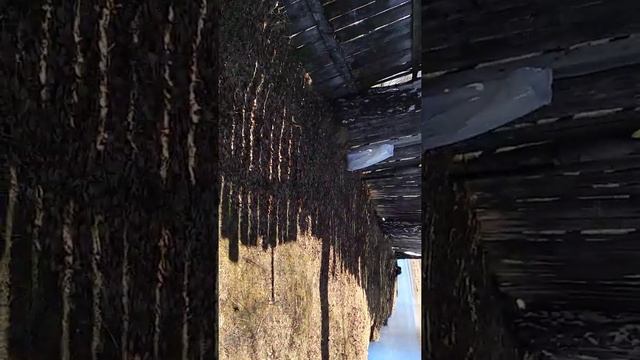 Нейво - Рудянка  береговая