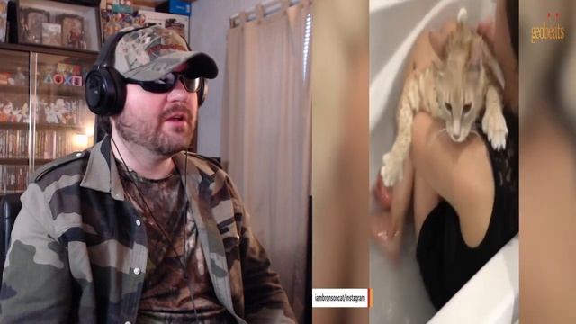 This 33-Pound Cat Is Now Unrecognizable After Weight Loss (GBA) - Reaction! (BBT) смотреть онлайн