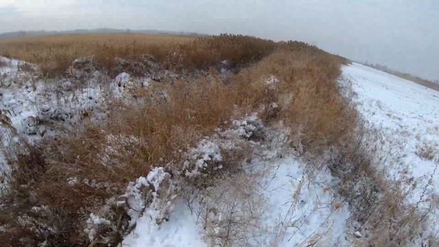 То мимо, то косо.(Ноябрь 2018) смотреть онлайн