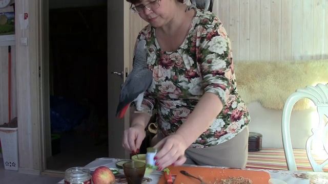 жако смотреть онлайн