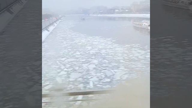 С собакой в электричке на Московском центральном кольце смотреть онлайн