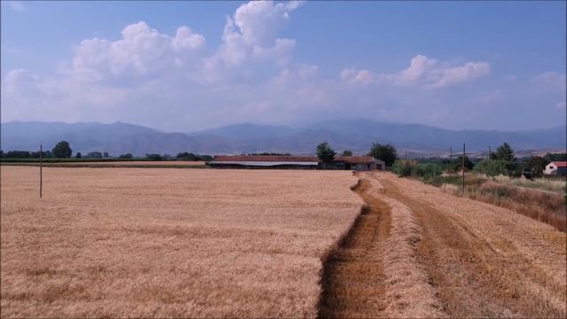 NEW HOLLAND CX 8070 combine смотреть онлайн