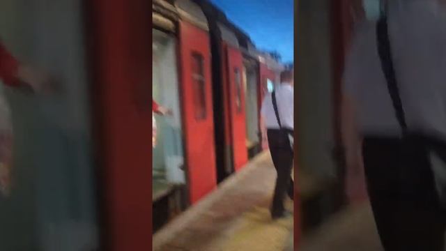 "Вот это везение!" Электропоезд ЭД4М-0441 с сообщением Москва(Курский Вокзал)-Электрогорск. смотреть онлайн