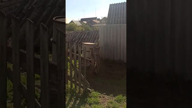 VID 20230427 081440 Борское, ул. Первомайская 51 смотреть онлайн