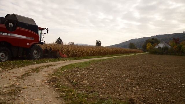 Case IH AFX 8010 | Maisernte 2015 смотреть онлайн