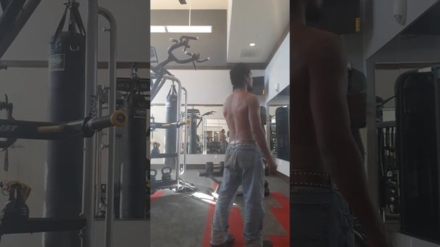 chin-ups 225lbs [160lbs BW + 65lbs DB] (next video 225lbs pulls) смотреть онлайн
