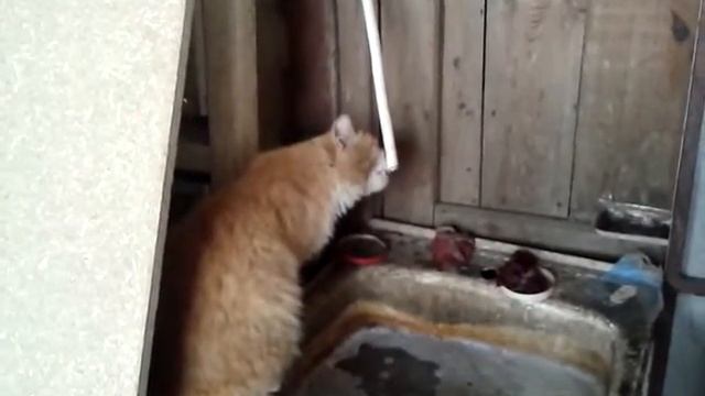 Дайте попить воды. смотреть онлайн