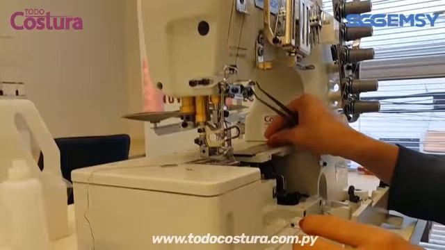 Capacitación Y Funciones COLLARETA NORMAL GEMSY GEM500B 01 - Todo Costura SA