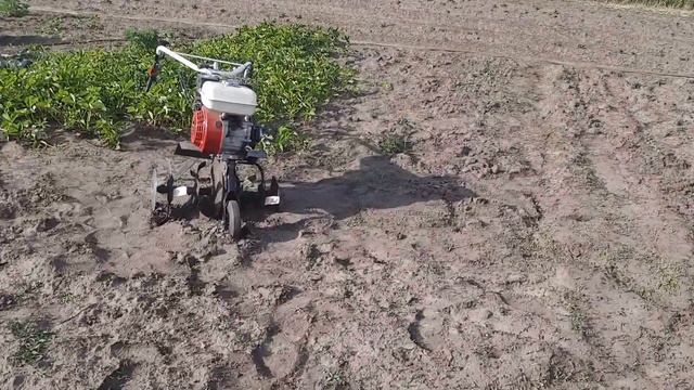 Как завести без шнура культиватор, и причем здесь гарбуз смотреть онлайн