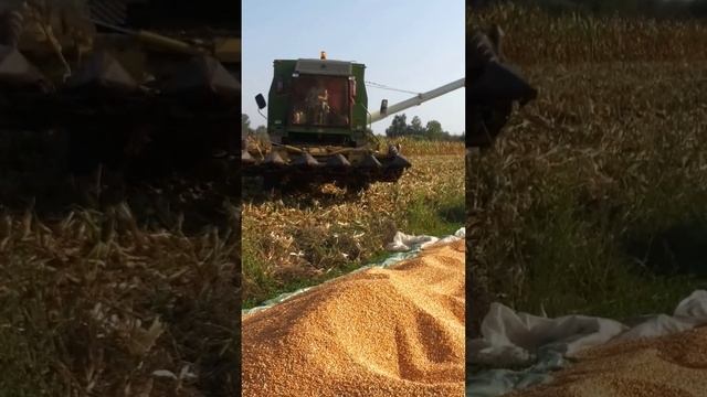 fortschritt e 514 ne korrje misri смотреть онлайн