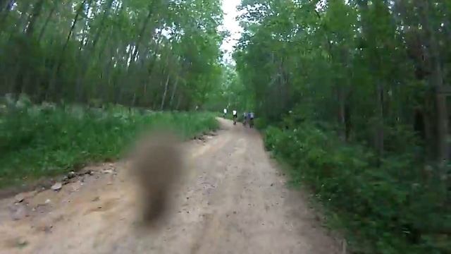 Мичуринский полумарафон 2014 часть 1 смотреть онлайн