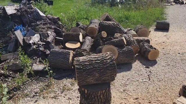 Redemption!!!! Ported Stihl 038 magnum is fixed!!! смотреть онлайн