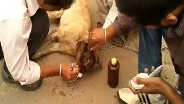 C:\Documents and Settings\Administrator\Desktop\who dare to see this 1.mp4 смотреть онлайн