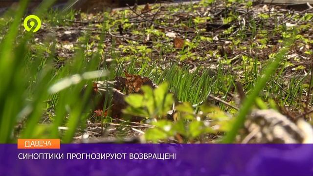 В Кирове похолодает до 7 смотреть онлайн